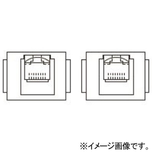 TERADA(寺田電機製作所) 【受注生産品】情報(CAT6A)器具ブロック ≪テラコン≫ CAT6A×2 165角置敷OAパネル対応 SFC90182