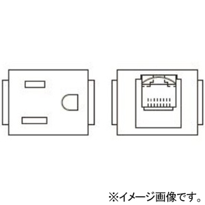 TERADA(寺田電機製作所) 【受注生産品】複合器具ブロック ≪テラコン≫ 接地2P15A125V平刃×1+CAT6A×1 165角置敷OAパネル対応 SFC90518