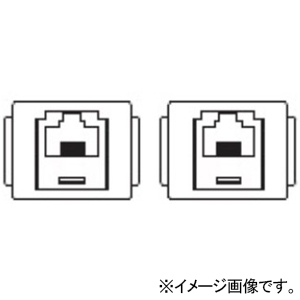 TERADA(寺田電機製作所) 【受注生産品】電話器具ブロック ≪テラコン≫ TEL×2 SMAシリーズ用 250角置敷OAパネル対応 SMA90062