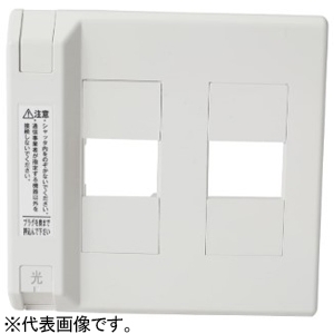 TERADA(寺田電機製作所) 光アウトレット 2連タイプ 2H 防塵・遮光用自動シャッター付 10個入 TD-1736-6