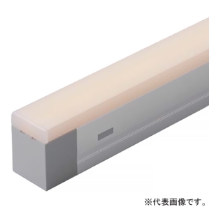 DNライティング 【受注生産品】LEDライン照明器具 《Seamlessline》 光源一体型 低輝度タイプ 長さ307mm 非調光 昼白色 スクエア型カバー SFL307NS-P4