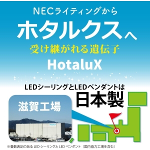 ホタルクス LEDシーリングライト 〜14畳用 調光タイプ 昼光色 LEDシーリングライト 〜14畳用 調光タイプ 昼光色 HLDZE14309SG 画像2