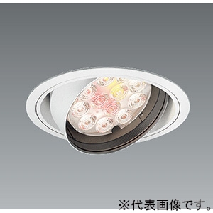 遠藤照明 LEDユニバーサルダウンライト 生鮮食品用 2400TYPE CDM-TC35W器具相当 埋込穴φ125mm 中角配光 生鮮ナチュラルタイプ 電源別売 ERD7450WA