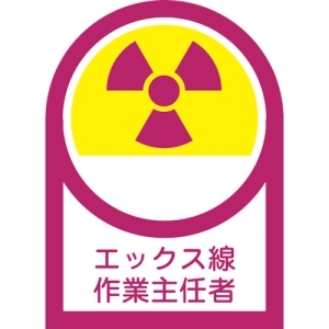 日本緑十字社 HL62 エックス線作業主任者 233062