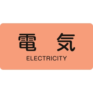 日本緑十字社 HY101M 電気/ELECTRICITY HY101M 電気/ELECTRICITY 382101