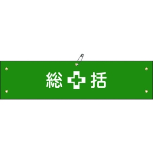 日本緑十字社 ワンショウ1B 総括 139201