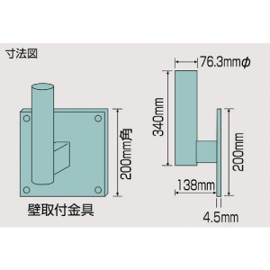 日本緑十字社 カベヨウカナグミラーヨウ 277600