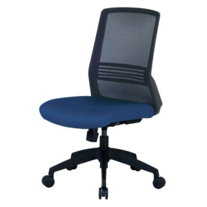 y󒍐YizItBX`FAbV u[ CK02(BL)