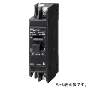 d՗pՒf HpRdՒf 2P2E i20A ix30mA gT[WΉ` BV-C2 20A 100-200V 30MA NN