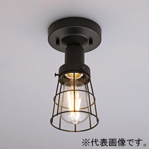 【受注生産品】ブラケットライト ビス止めガード CL型 電球別売 E26口金 黒塗装 GLF-3528X