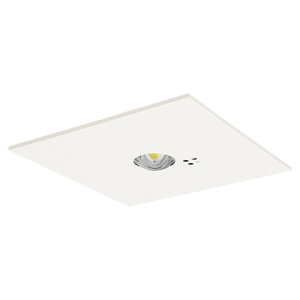 ���p�Ɩ���� ��p�` �����^ LED��V��p(�`3m) 30���ԃ^�C�v �n���Q���d��13�`���� �����F ��������150mm �d�r�����` NNFB91625C