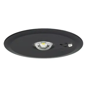 ���p�Ɩ���� ��p�` �f�M�E�Չ��{�H�p SB�` LED��V��p(�`3m) 30���ԃ^�C�v �n���Q���d��13�`���� �����F ��������100mm �d�r�����` �u���b�N NNFB91445Z