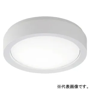 �h�J�^�V�[�����O���C�g ���p�Ɩ���� �u���P�b�g���p�^ �K�i�ʘH�U�������p�^ �ǁE�V�䒼�t�^ 30���ԃ^�C�v ������^�C�v FCL20�`1������ �x�[�V�b�N�^�C�v �񒲌� �����F �z���C�g NWCF16100LE1