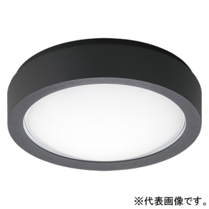 �h�J�^�V�[�����O���C�g ���p�Ɩ���� �u���P�b�g���p�^ �K�i�ʘH�U�������p�^ �ǁE�V�䒼�t�^ 30���ԃ^�C�v ������^�C�v FCL20�`1������ �x�[�V�b�N�^�C�v �񒲌� �����F �u���b�N NWCF16500LE1