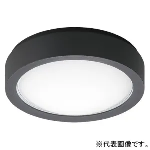 �h�J�^�V�[�����O���C�g ���p�Ɩ���� �u���P�b�g���p�^ �K�i�ʘH�U�������p�^ �ǁE�V�䒼�t�^ 30���ԃ^�C�v ������^�C�v FCL20�`1������ �x�[�V�b�N�^�C�v �񒲌� �����F �u���b�N NWCF16503LE1