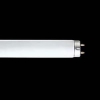 東芝 捕虫器用蛍光ランプ ケミカルランプ 直管 グロースタータ形 30W FL30S・BL