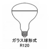 RF110V180WH (岩崎電気)｜屋外用｜白熱電球｜電材堂【公式】