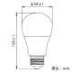 テスライティング 【生産完了品】LED電球 一般電球形 A60形 電球色相当 E26口金 LED電球 一般電球形 A60形 電球色相当 E26口金 LDA10W1000-27E26-Fr 画像2