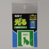 花岡 【限定特価】蓄光シール 《誘導標識・ねこ》 標示タイプ α-FLASH採用 50×50mm AF2004