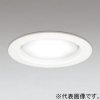 オーデリック LEDベースダウンライト 高気密SB形 フラット形 白熱灯60Wクラス 電球色・昼白色 光色切替調光 埋込穴φ100 オフホワイト OD361204PC