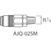 アネスト岩田 クイックジョイント(ソケット) AJQ-02SM