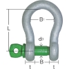 大洋 グリーンピンスタンダードシャックル バウ・捻込 0.33t GPB-0.33T