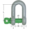 大洋 グリーンピンスタンダードシャックル ストレート・捻込 0.33t GPS-0.33T