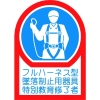 日本緑十字社 ヘルメット用ステッカー フルハーネス型墜落制止用器具特別教育修了者 HL-128 35×25mm 10枚組 オレフィン 233128