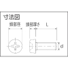 TRUSCO ポリエーテルエーテルケトン(PEEK)十字穴付ナベ小ネジ M3X15 50本入 ポリエーテルエーテルケトン(PEEK)十字穴付ナベ小ネジ M3X15 50本入 BPEEK-PHM3X15 画像2