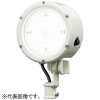 岩崎電気 LED投光器 ≪LEDioc FLOOD LUNT≫ 屋外・屋内用 33Wタイプ セルフバラスト水銀ランプ300W相当 広角タイプ 昼白色 オフホワイト E30015W/NSAN9/W