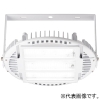 岩崎電気 【受注生産品】LED高天井用照明器具 ≪LEDioc HIGH-BAY θ+≫ 屋内用 高温80℃対応形 250Wタイプ メタルハライドランプ700W相当 広角タイプ 昼白色 電源ユニット別置形 クリアタイプ EHWP25017W/NSAN9