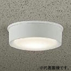 DAIKO LED軒下シーリングライト 防雨形 白熱灯60W相当 非調光タイプ LED6.5W 電球色 拡散パネル付 白 LED軒下シーリングライト 防雨形 白熱灯60W相当 非調光タイプ LED6.5W 電球色 拡散パネル付 白 DWP-40248Y 画像1