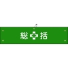 日本緑十字社 ワンショウ1B 総括 139201